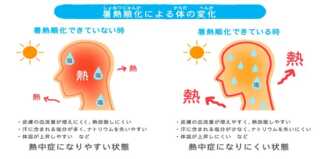 残暑お見舞い申し上げます